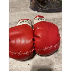 Sugar Ray Leonard FRANKLIN Youth Boxing Gloves - 1790